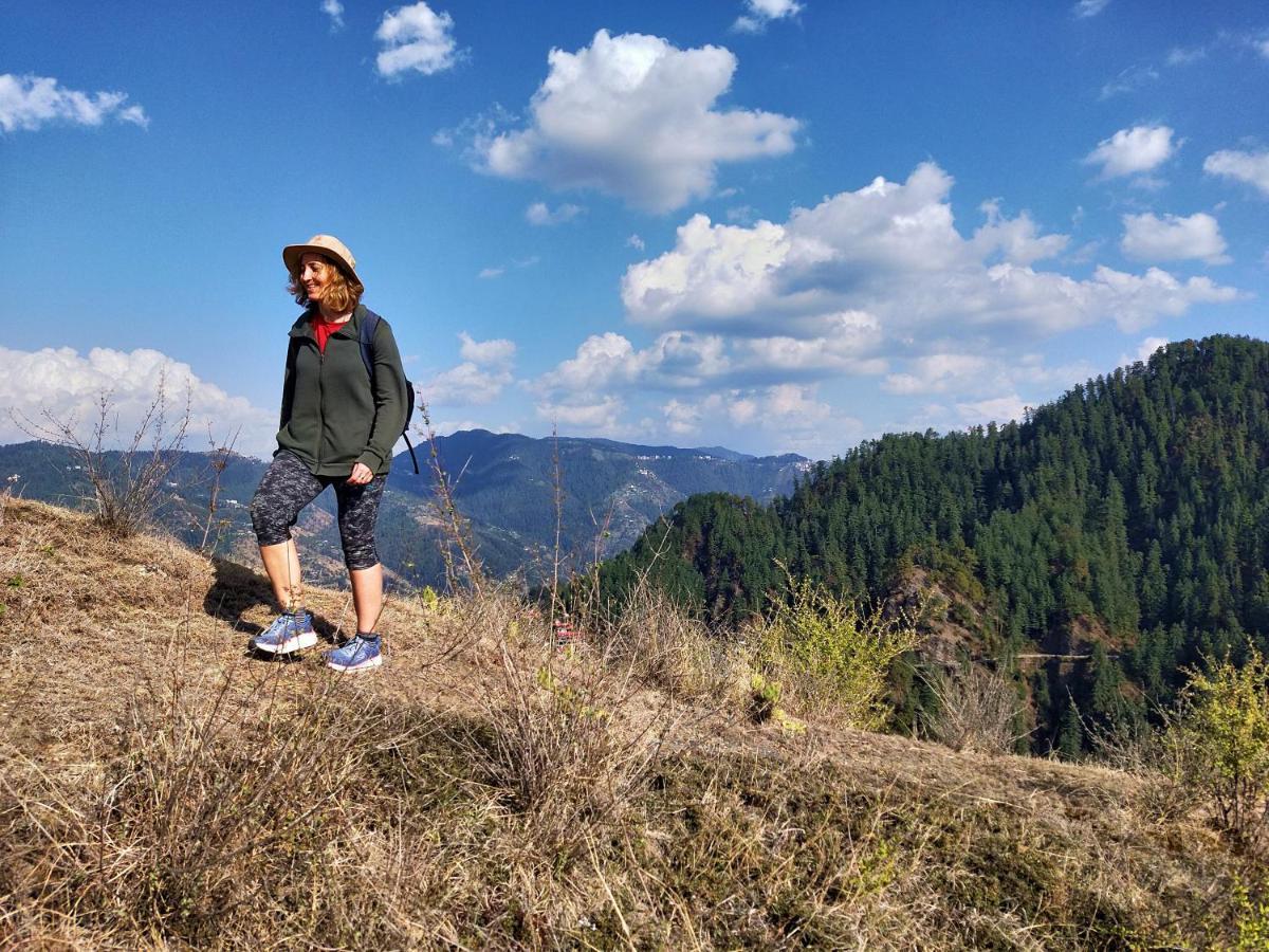 Neha Homestay Shimla Extérieur photo