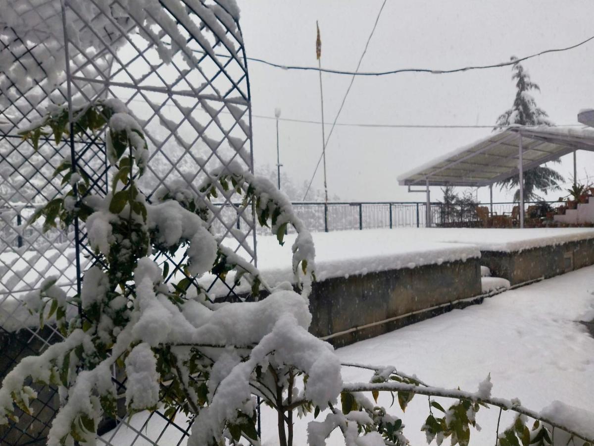 Neha Homestay Shimla Extérieur photo