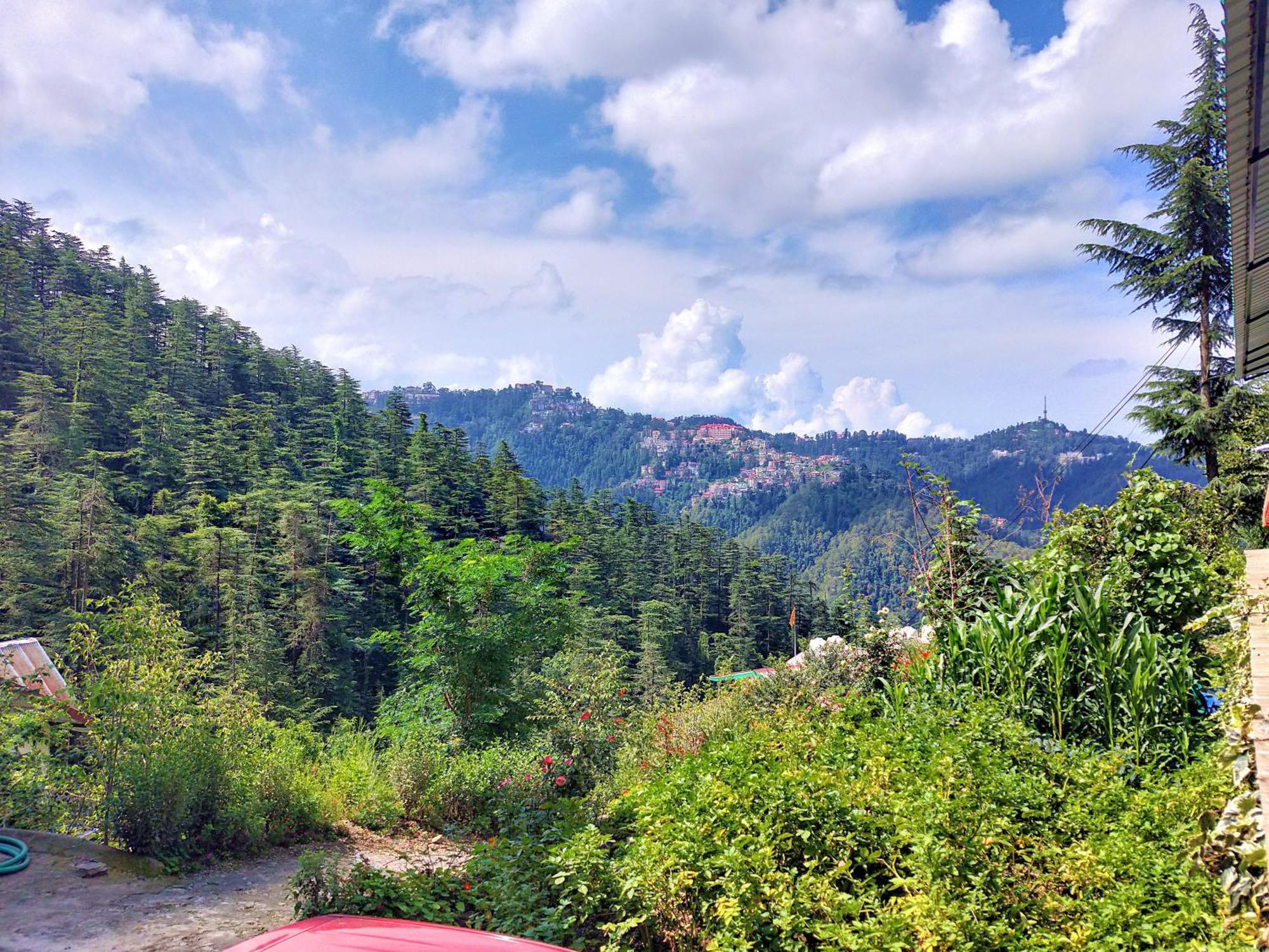 Neha Homestay Shimla Extérieur photo